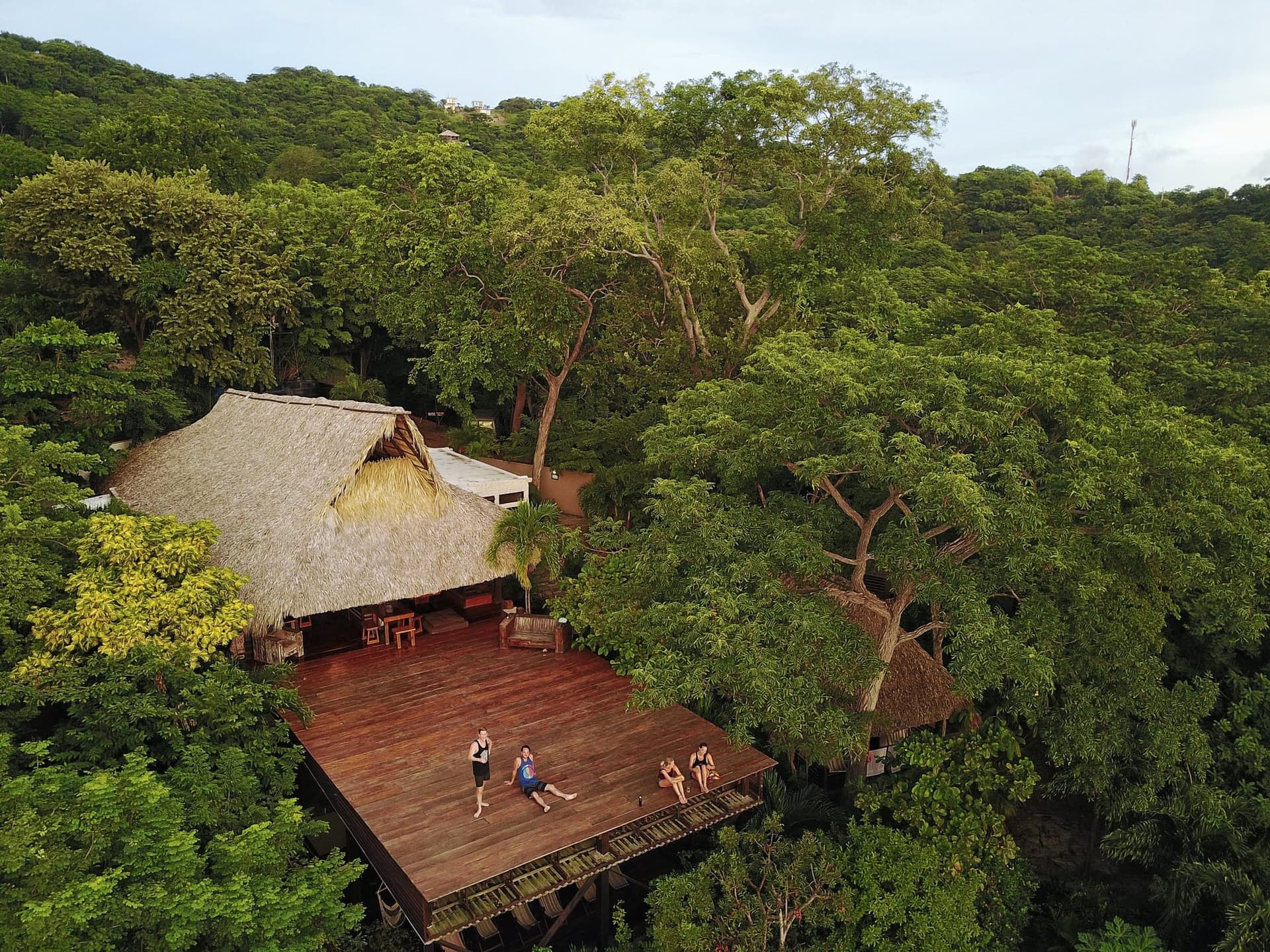 A Jungle Experience 2